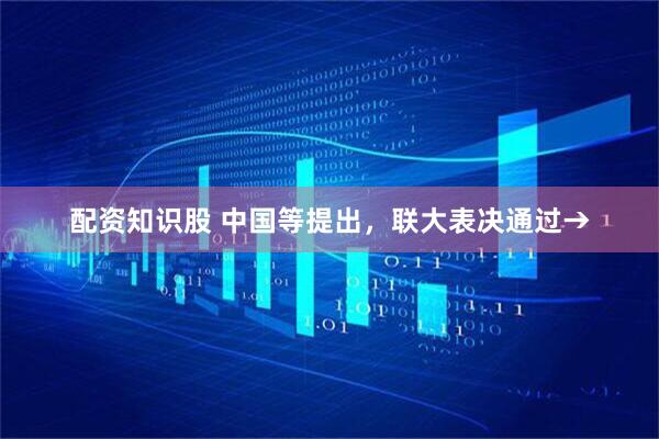 配资知识股 中国等提出，联大表决通过→