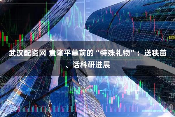 武汉配资网 袁隆平墓前的“特殊礼物”:送秧苗、话科研进展