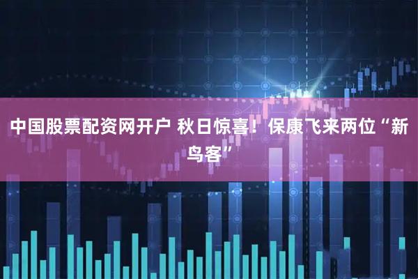 中国股票配资网开户 秋日惊喜！保康飞来两位“新鸟客”